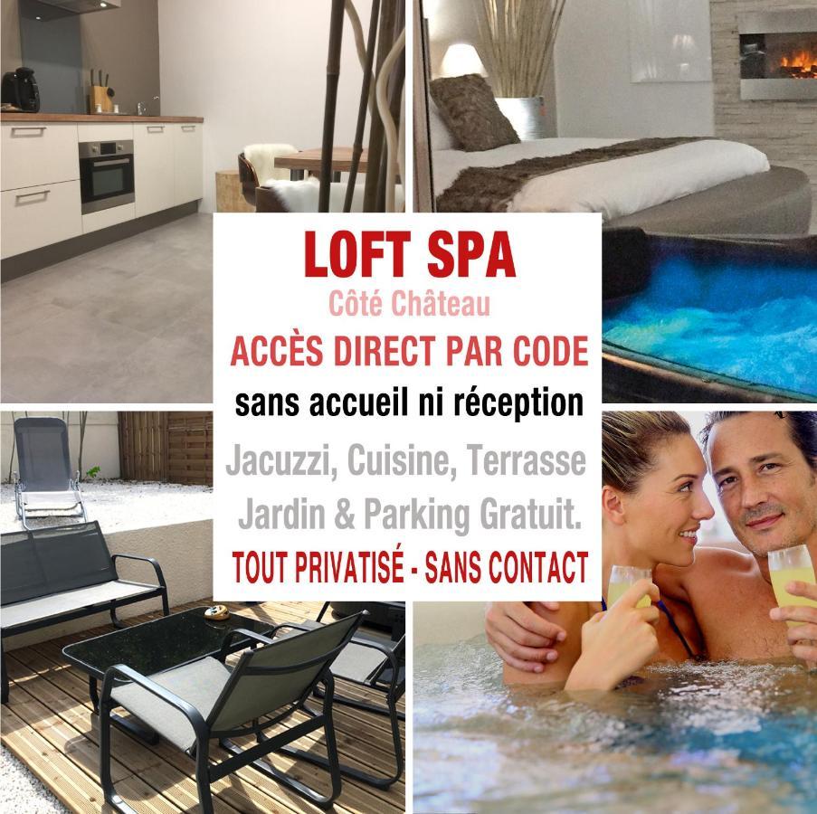 Loft Spa - Cote Chateau. Carcassonne Eksteriør billede